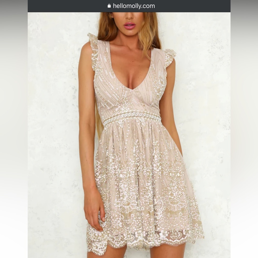 NWOT Hello Molly Champagne Dress